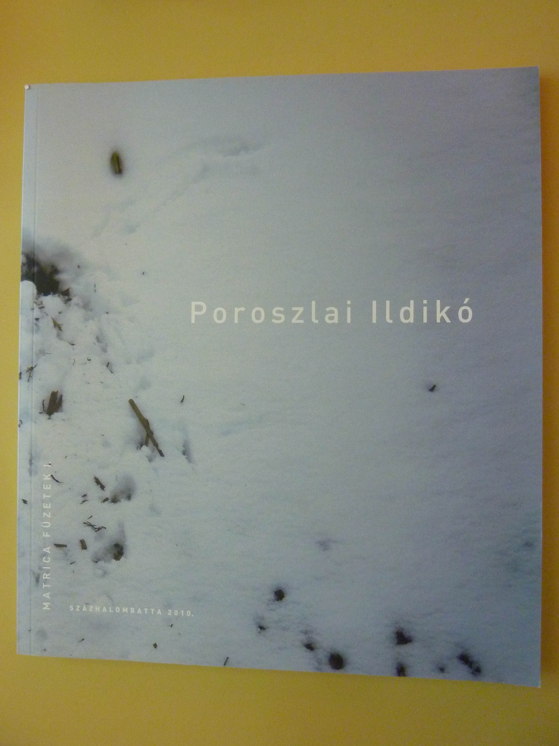 Poroszlai-Ildiko-Konyve